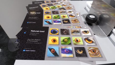 JETvarnish 3D One samples