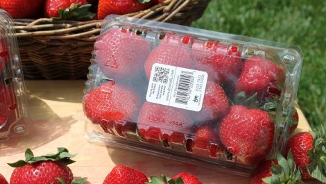 K600i strawberries label