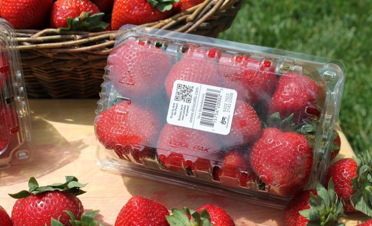 K600i strawberries label