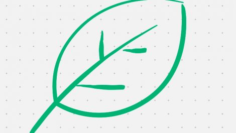 Kyocera Green Curtains