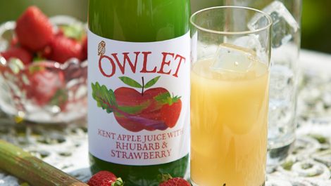 Owlet fruit juice bottles