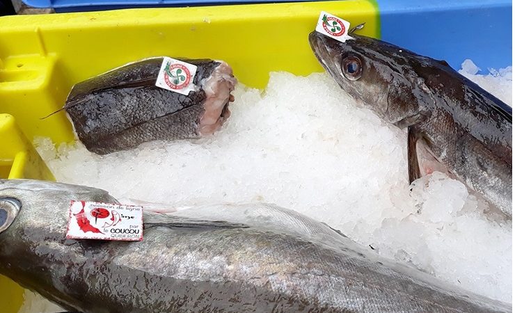 Polyart adds Laser Food (fresh fish)