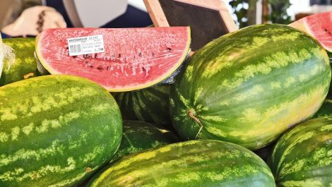 Watermelon with DT linerless label