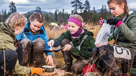 UPM, Guides and Scouts of Finland