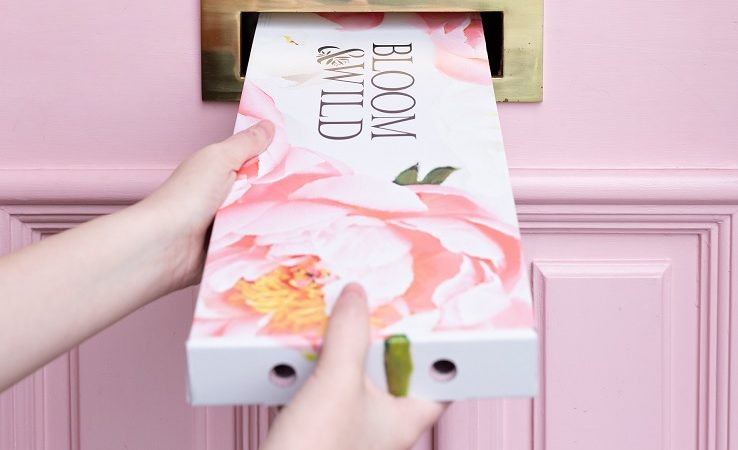 Wild && Bloom letterbox flowers