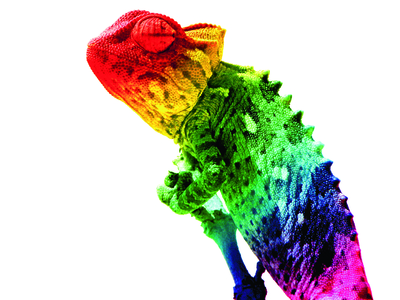 Adapting to change Adapting to change